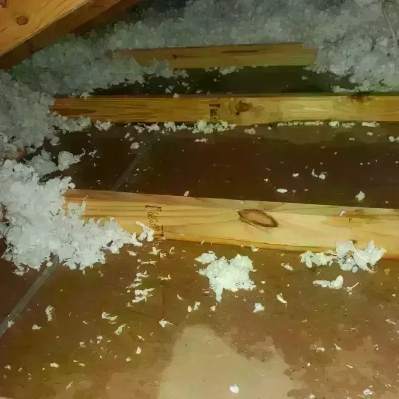 Attic Water Damage in Bemidji, MN