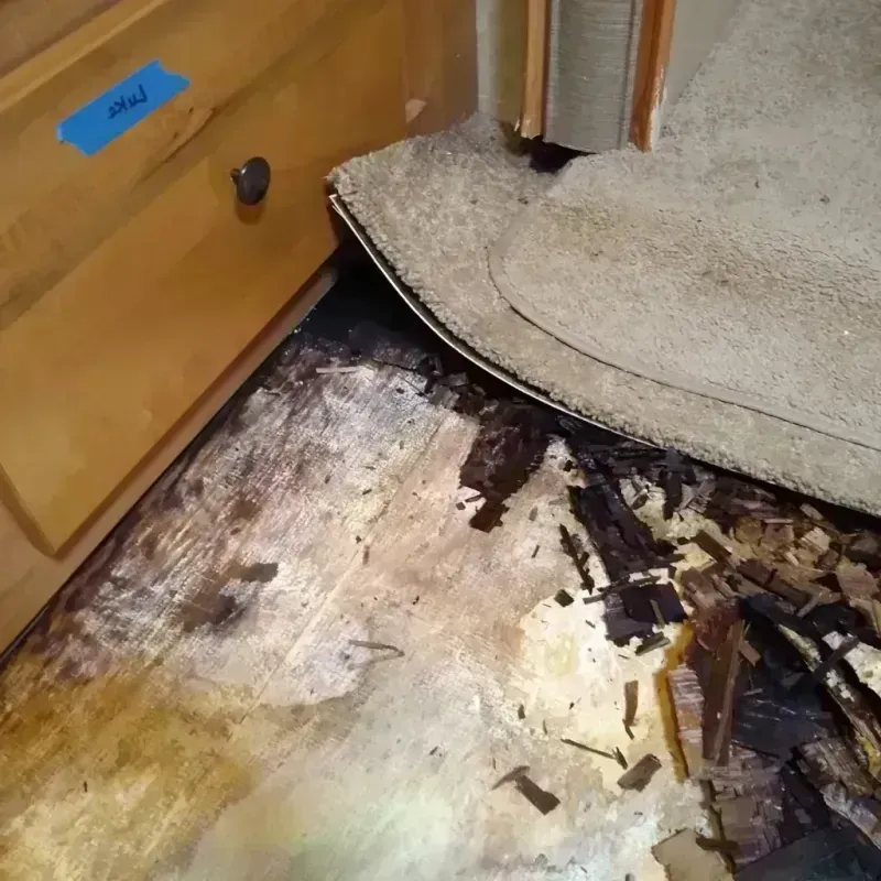 Wood Floor Water Damage in Bemidji, MN